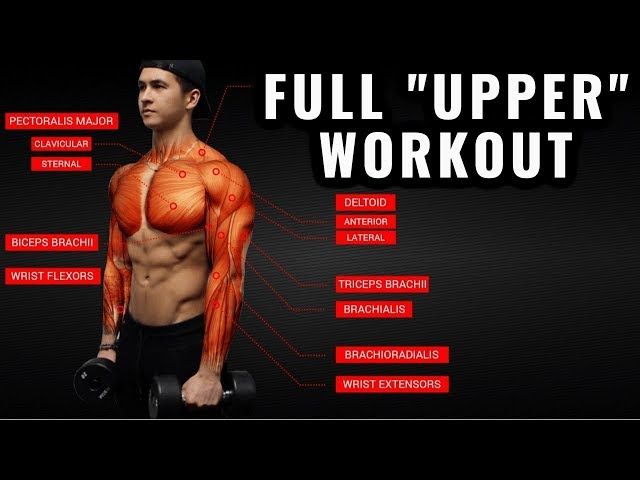 Upper Body Workouts to Build Muscle